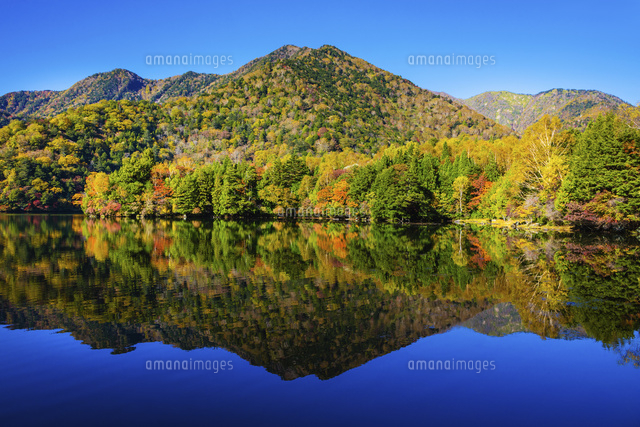 湯ノ湖と奥日光の山並みの紅葉 の写真素材 イラスト素材 アマナイメージズ