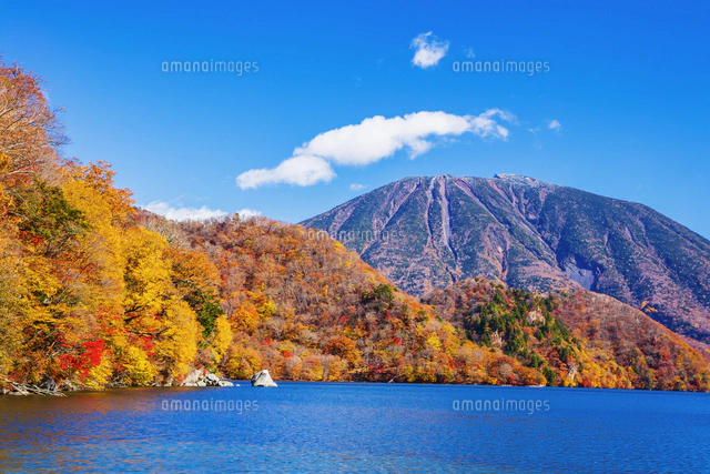 日光東照宮の五重塔 の写真素材 イラスト素材 アマナイメージズ 日光東照宮の五重塔 の写真素材 イラスト素材 アマナイメージズ