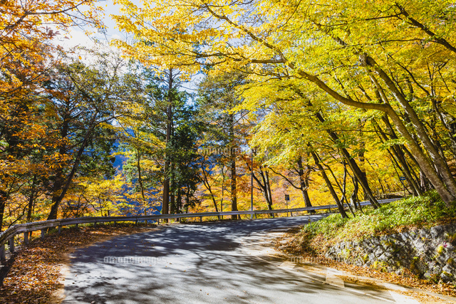 奥日光 第一いろは坂の紅葉 10158008266 の写真素材 イラスト素材 アマナイメージズ
