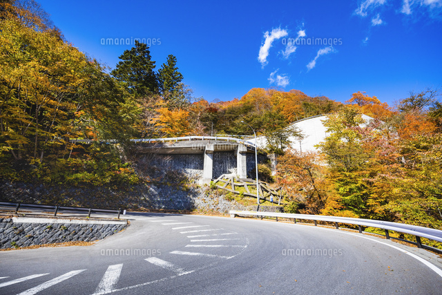 奥日光 第一いろは坂の紅葉 の写真素材 イラスト素材 アマナイメージズ