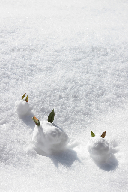 3匹の雪うさぎ の写真素材 イラスト素材 アマナイメージズ 3匹の雪うさぎ の写真素材 イラスト素材 アマナイメージズ