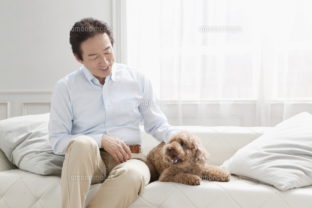 犬とじゃれ合う男性 の写真素材 イラスト素材 アマナイメージズ