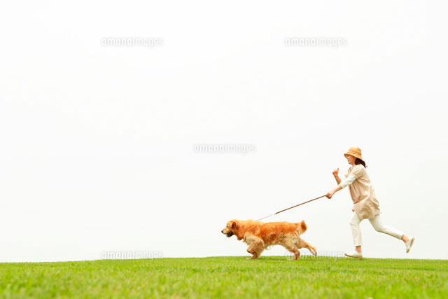草原で犬と走るシニア女性と犬 の写真素材 イラスト素材 アマナイメージズ
