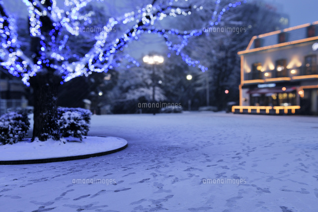 雪の降る夕方の上野公園とイルミネーション の写真素材 イラスト素材 アマナイメージズ
