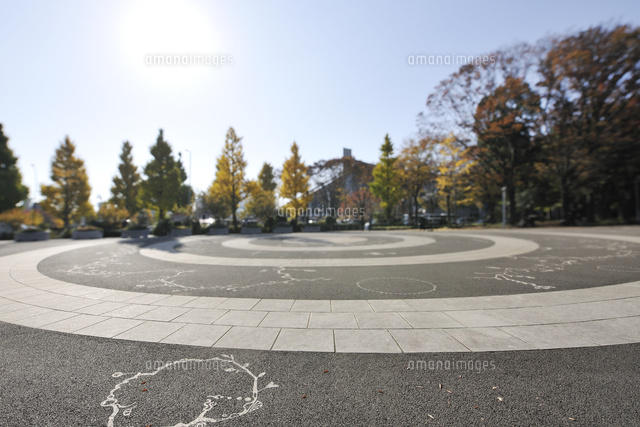 代々木公園の石畳の広場 の写真素材 イラスト素材 アマナイメージズ