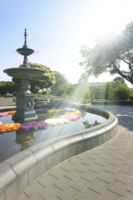 港の見える丘公園の噴水広場 の写真素材 イラスト素材 アマナイメージズ