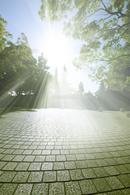 陽光と公園の石畳の広場 の写真素材 イラスト素材 アマナイメージズ