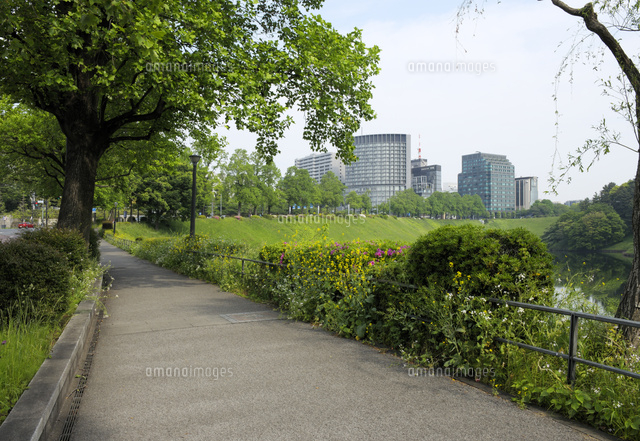 新緑の皇居周回道路 の写真素材 イラスト素材 アマナイメージズ
