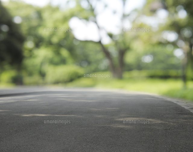 日比谷公園のアスファルトの散策路 の写真素材 イラスト素材 アマナイメージズ