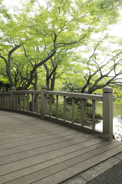 日比谷公園の木製の橋[10168004098]の写真素材・イラスト素材｜アマナ 