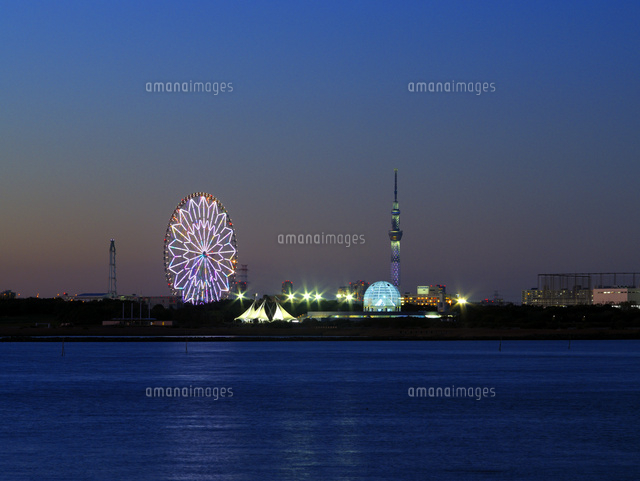 葛西臨海公園と東京スカイツリーのイルミネーション の写真素材 イラスト素材 アマナイメージズ
