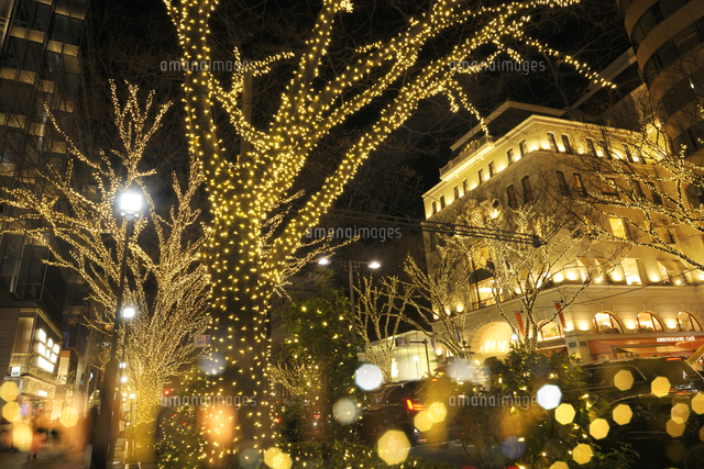 表参道クリスマスイルミネーション の写真素材 イラスト素材 アマナイメージズ