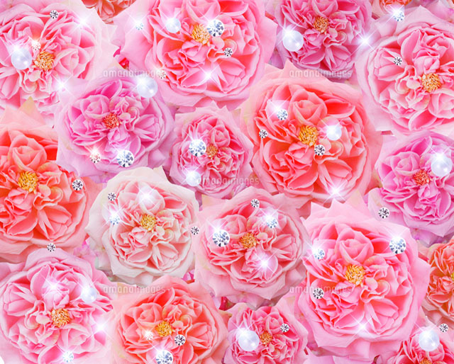 一面のピンクの花とパールとダイヤ の写真素材 イラスト素材 アマナイメージズ