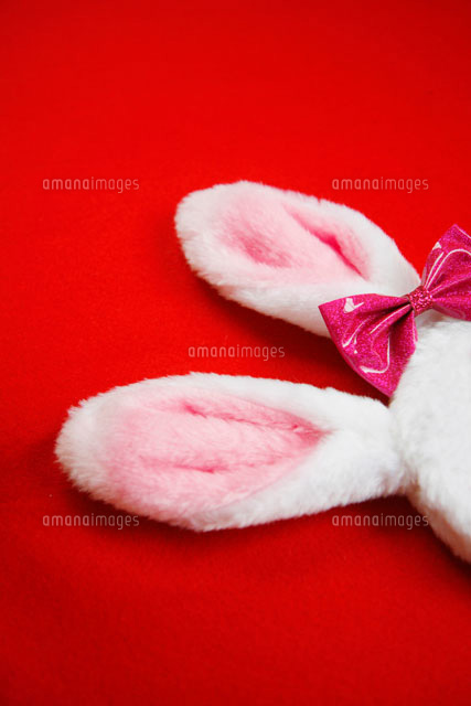 リボンをつけたうさぎの耳 の写真素材 イラスト素材 アマナイメージズ