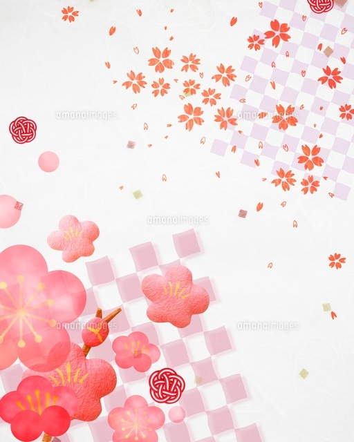 桜と梅 の写真素材 イラスト素材 アマナイメージズ 桜と梅 の写真素材 イラスト素材 アマナイメージズ