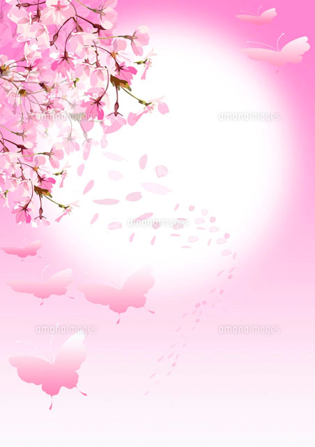 蝶桜ページ 桜と蝶[10170000124]の写真・イラスト素材｜アマナイメージズ