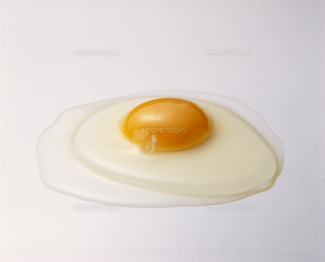 生卵 の写真素材 イラスト素材 アマナイメージズ