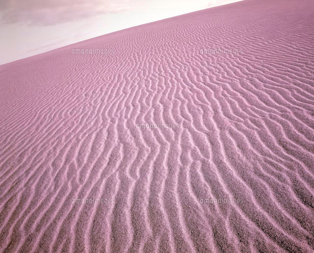 鳥取砂丘 の写真素材 イラスト素材 アマナイメージズ