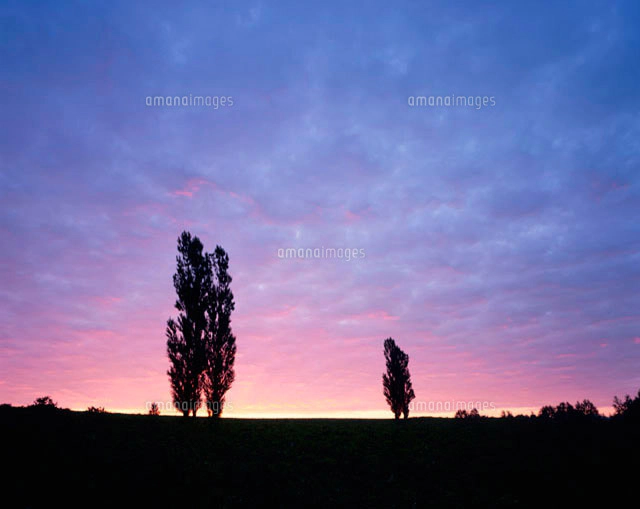 朝焼け雲と江ノ島[10171000487]の写真・イラスト素材｜アマナイメージズ
