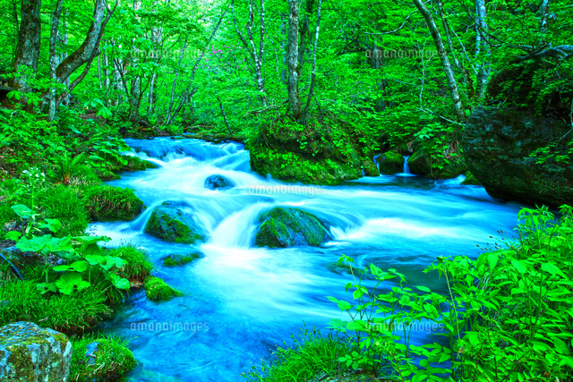 奥入瀬渓流 の写真素材 イラスト素材 アマナイメージズ