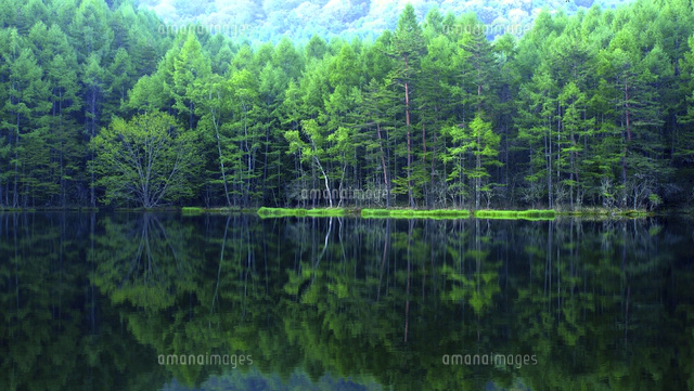 御射鹿池新緑 緑がこだまする「緑響く」の絶景、新緑と紅葉の御射鹿池 - 地球