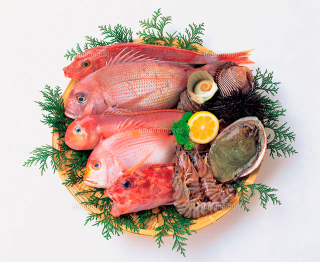 魚介類 の写真素材 イラスト素材 アマナイメージズ