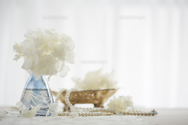 白い花とパールのネックレス の写真素材 イラスト素材 アマナイメージズ