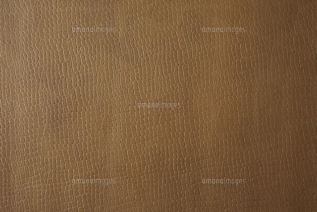 型を加工した革の素材 の写真素材 イラスト素材 アマナイメージズ