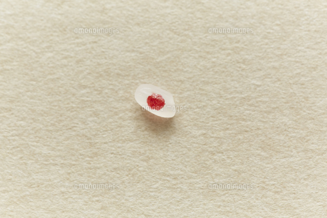 米粒の中の日の丸 の写真素材 イラスト素材 アマナイメージズ