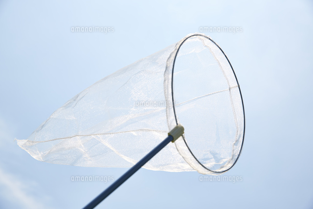 虫取りあみ の写真素材 イラスト素材 アマナイメージズ