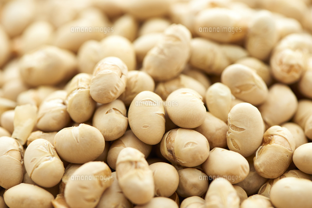 たくさんの煎り大豆 の写真素材 イラスト素材 アマナイメージズ