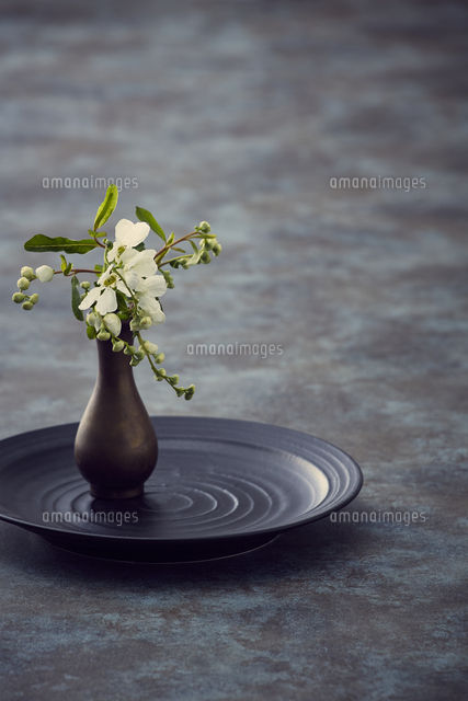 黒い皿の一輪挿しと白い花 の写真素材 イラスト素材 アマナイメージズ