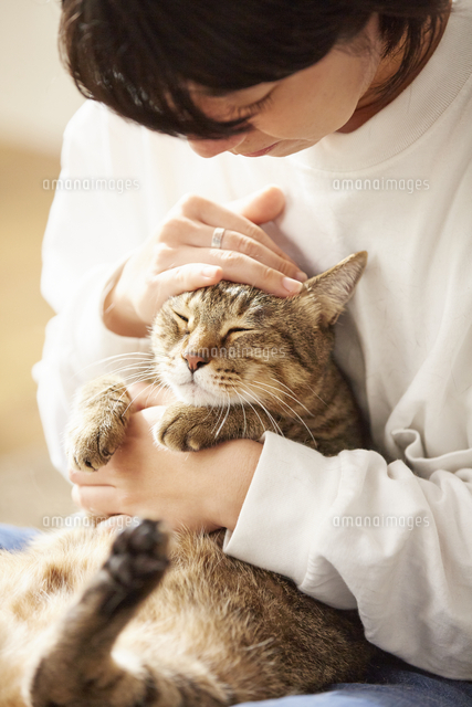 人に抱きかかえられている猫 の写真素材 イラスト素材 アマナイメージズ