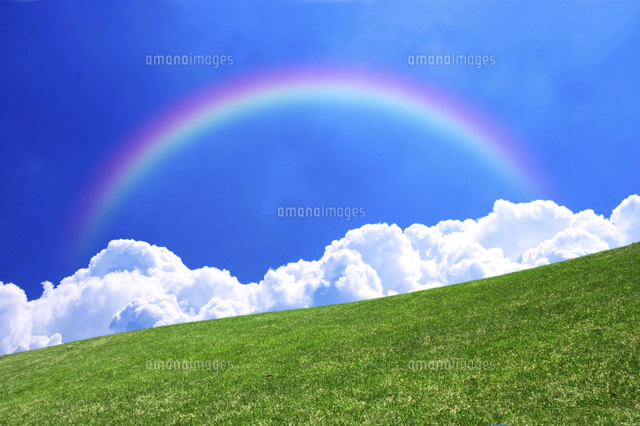 Fujio 油彩画 青空と草原の風景 Fujio 油彩画 青空と草原の風景 Fujio 油彩画 青空と草原の風景 （