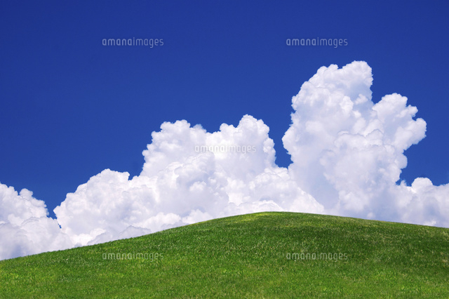 草原と青空と入道雲 の写真素材 イラスト素材 アマナイメージズ