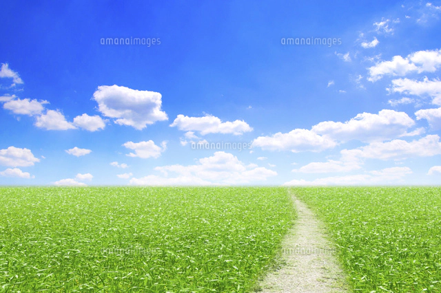 青空と草原と小道[10185002635]の写真・イラスト素材｜アマナイメージズ