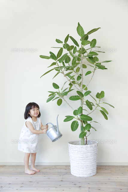 観葉植物の前でじょうろを持った女の子 の写真素材 イラスト素材 アマナイメージズ