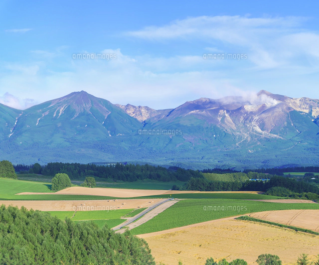 北海道 美瑛町点景 噴煙を上げる十勝岳[10190001094]の写真・イラスト