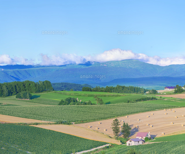 t*k様 十勝岳連峰と美瑛川の風景画(水彩画) t*k