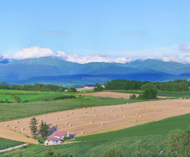 北海道 美瑛町点景 噴煙を上げる十勝岳[10190001094]の写真・イラスト
