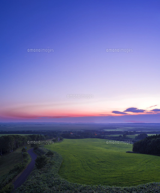 北海道 自然 風景 美瑛 丘の夕暮れ[10190001618]の写真・イラスト素材