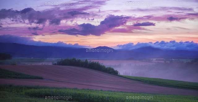 北海道 自然 風景 美瑛 丘の夕暮れ[10190001618]の写真・イラスト素材