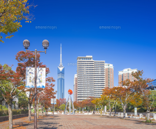 福岡県 風景 福岡タワー 昼景 の写真素材 イラスト素材 アマナイメージズ