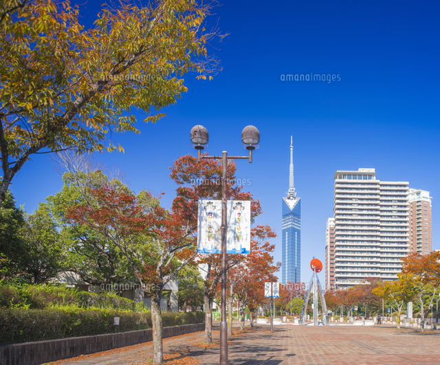 福岡県 風景 福岡タワー 昼景 の写真素材 イラスト素材 アマナイメージズ
