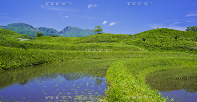 熊本県 田園風景 扇棚田 日本の棚田百選 の写真素材 イラスト素材 アマナイメージズ