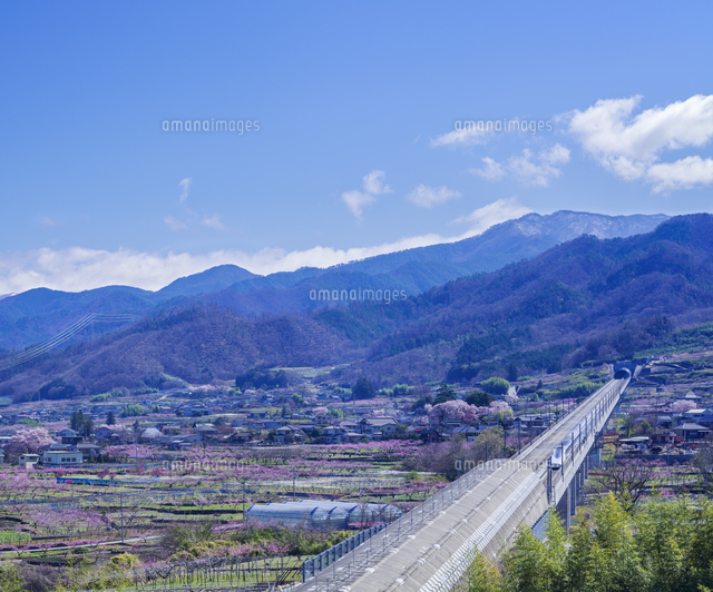 山梨県 風景 山梨リニア実験線 八代ふるさと公園リニアの見える丘