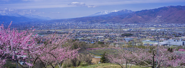 山梨県 風景 甲州蚕影(こうしゅうこかげ)桜 八ヶ岳遠望 八代(やつしろ