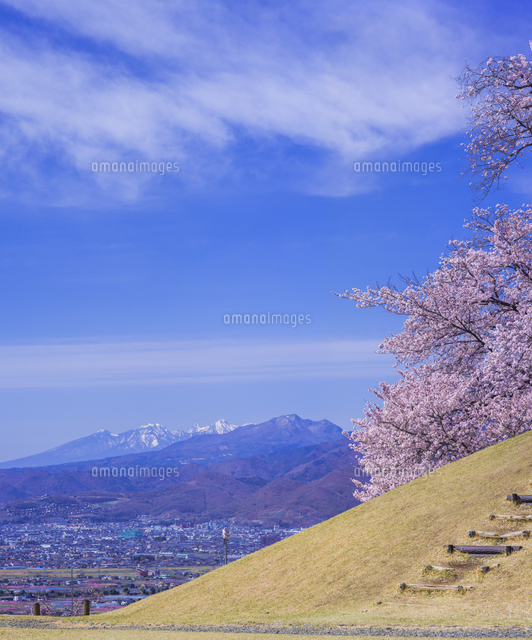 山梨県 風景 甲州蚕影(こうしゅうこかげ)桜 八ヶ岳遠望 八代(やつしろ