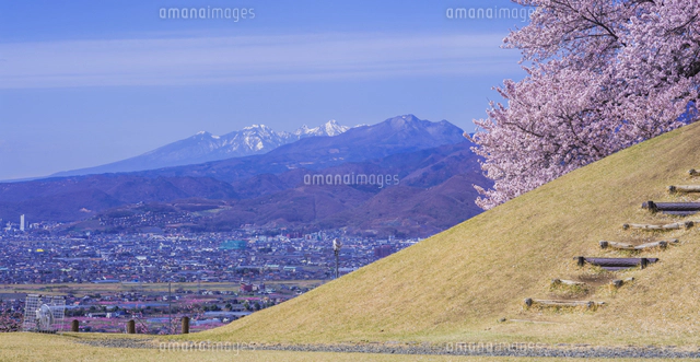 山梨県 風景 甲州蚕影(こうしゅうこかげ)桜 八ヶ岳遠望 八代(やつしろ
