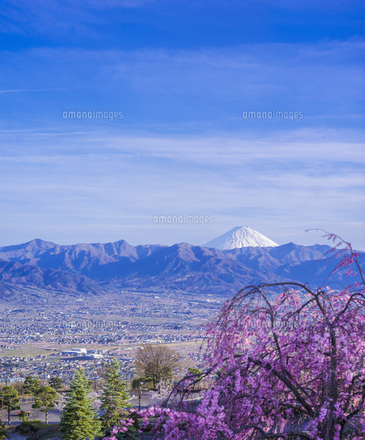 【中古】 こうべ文学逍遙　花と川をめぐる風景 山梨県 風景 桜の花と甲府盆地 富士山遠望 笛吹川フルーツ公園